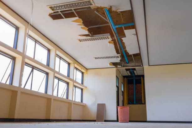 Best Ceiling water damage repair  in Bernalillo, NM