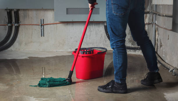 Best Mold removal after water damage  in Bernalillo, NM