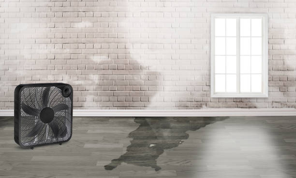 Water damage restoration insurance claims in Bernalillo, NM