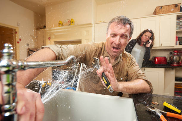 Best Local water damage restoration  in Bernalillo, NM